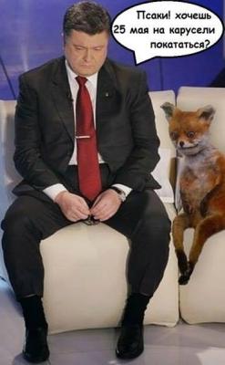 Прикрепленное изображение: 10352044_568438649941205_6175273325492421485_n.jpg